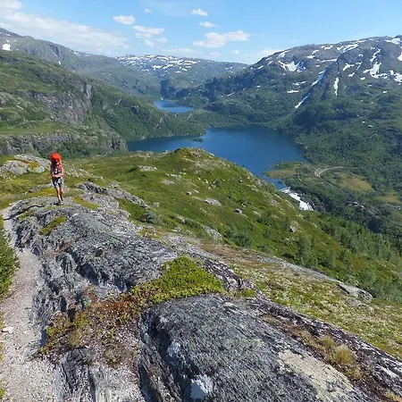 Отель Vatnahalsen Hoyfjellshotell Мюрдаль