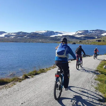 Vatnahalsen Hoyfjellshotell Myrdal
