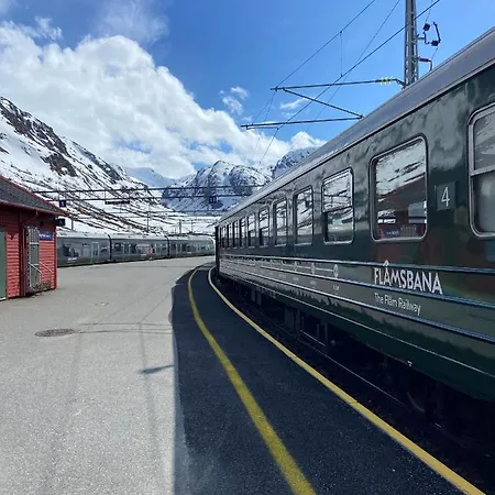 Vatnahalsen Hoyfjellshotell Hotel Myrdal