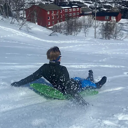 Hotel Vatnahalsen Hoyfjellshotell