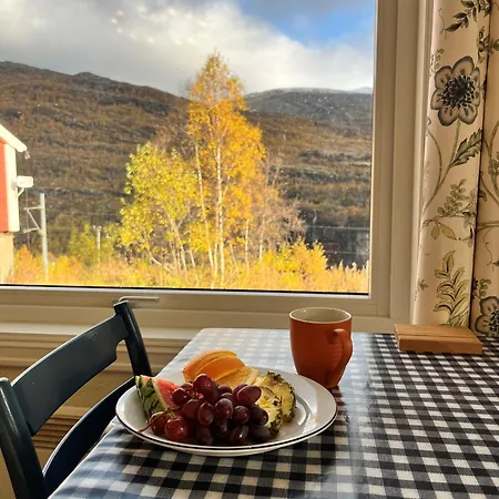 Hotel Vatnahalsen Hoyfjellshotell