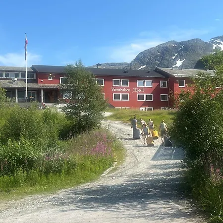Vatnahalsen Hoyfjellshotell 3* Myrdal