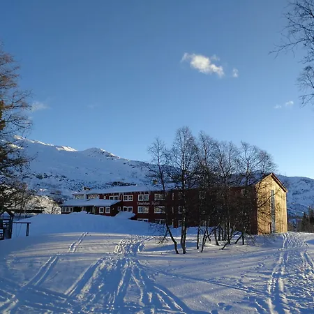 Vatnahalsen Hoyfjellshotell Otel Myrdal