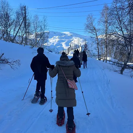 Hotel Vatnahalsen Hoyfjellshotell