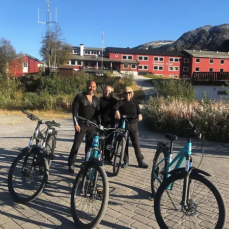Vatnahalsen Hoyfjellshotell 3* Myrdal