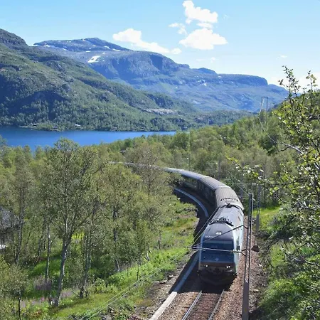 Vatnahalsen Hoyfjellshotell Hotel Myrdal