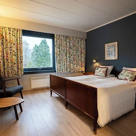 Vatnahalsen Hoyfjellshotell 3* Myrdal