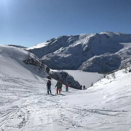 Hotel Vatnahalsen Hoyfjellshotell 3*