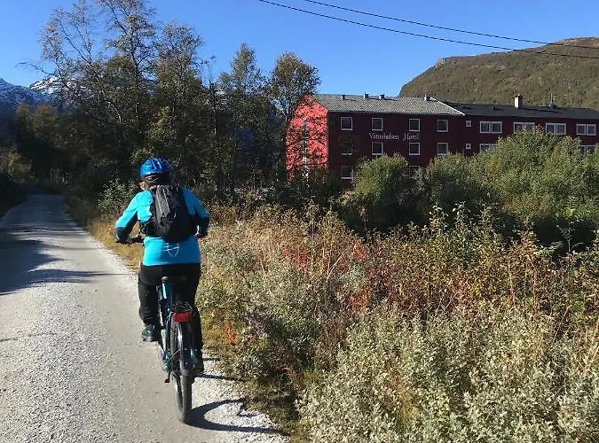 Vatnahalsen Hoyfjellshotell Otel 3*