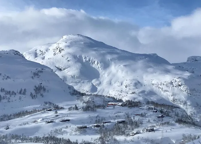 Vatnahalsen Hoyfjellshotell Otel Myrdal