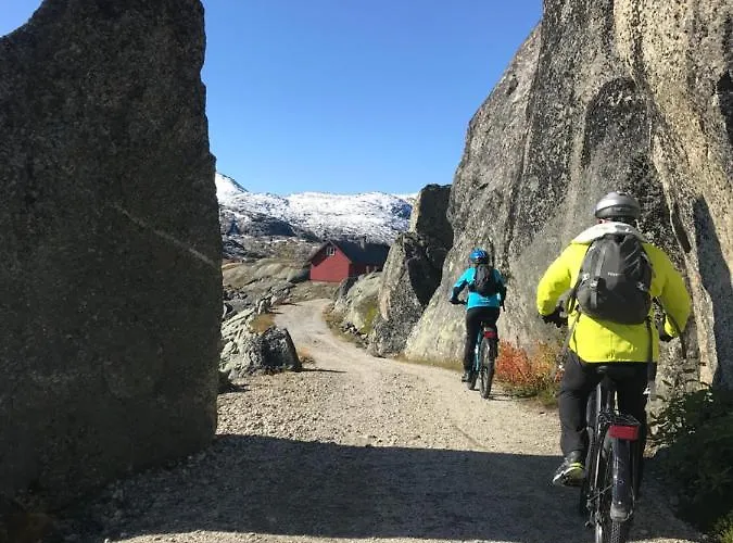 Ξενοδοχείο Vatnahalsen Hoyfjellshotell Myrdal