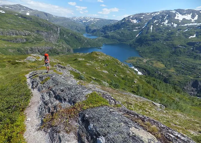 Ξενοδοχείο Vatnahalsen Hoyfjellshotell Myrdal