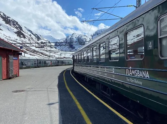 Vatnahalsen Hoyfjellshotell Otel Myrdal