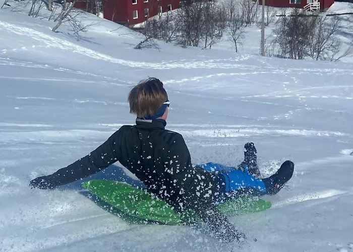 Hotel Vatnahalsen Hoyfjellshotell