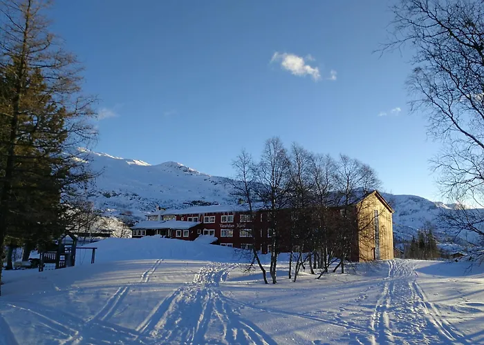 Vatnahalsen Hoyfjellshotell Hotel Myrdal