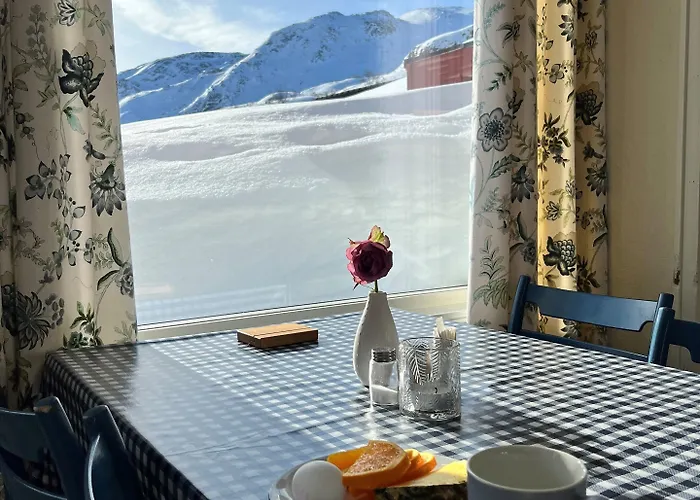 Vatnahalsen Hoyfjellshotell Myrdal