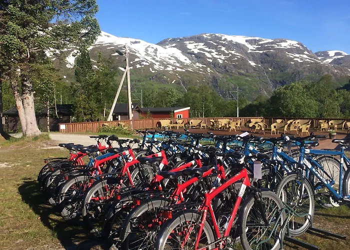 Otel Vatnahalsen Hoyfjellshotell 3*