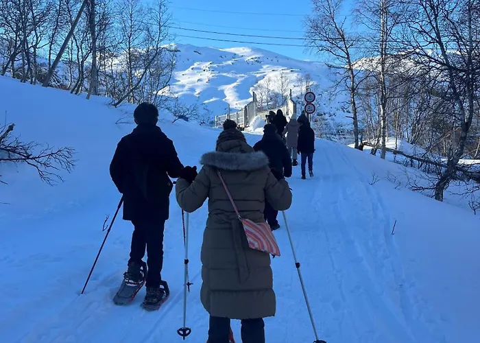 Hotel Vatnahalsen Hoyfjellshotell