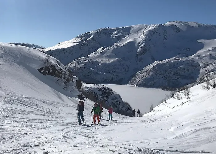 Отель Vatnahalsen Hoyfjellshotell 3*