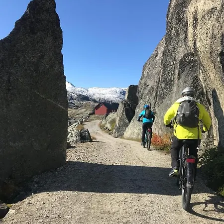 Hotell Vatnahalsen Hoyfjellshotell Myrdal