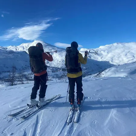 Vatnahalsen Hoyfjellshotell Myrdal