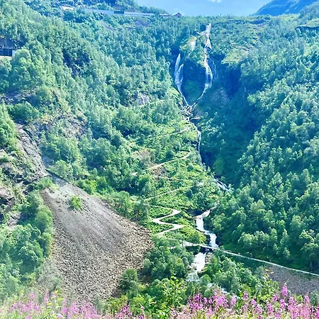 Vatnahalsen Hoyfjellshotell Hotel