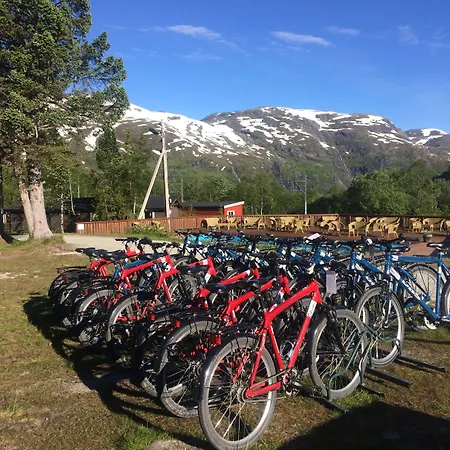 Hotel Vatnahalsen Hoyfjellshotell 3*